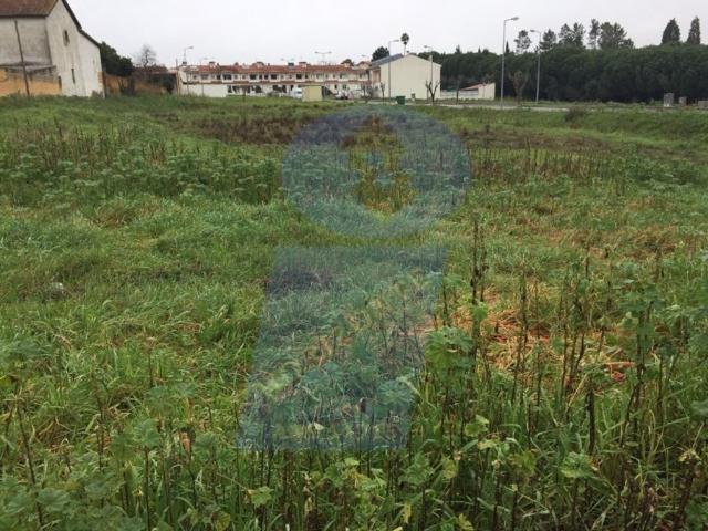 Terreno venda em Vale de Estevão, Anadia