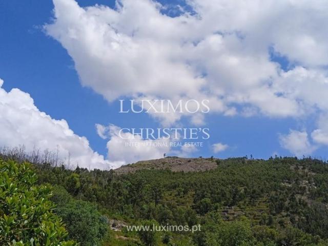 Terreno venda em Monchique