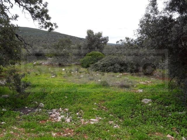 Terreno venda em Monte Brito, Loulé