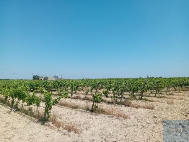 Terreno venda em Montijo, Setúbal