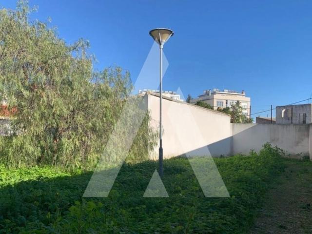 Terreno venda em Baixa do Montijo, Montijo