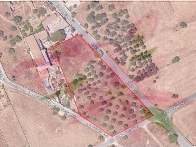 Terreno venda em Baixa do Montijo, Montijo