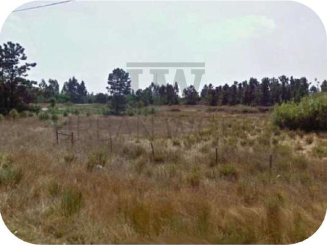 Terreno venda em Colonato de Santo Isidro de Pegões, Montijo