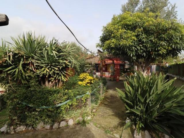 Terreno venda em Broega, Montijo