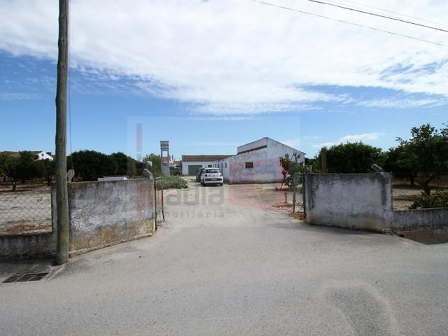 Terreno venda em Bairro do Miranda, Montijo