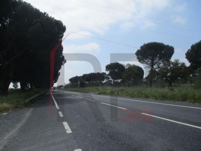 Terreno venda em Baixa do Montijo, Montijo