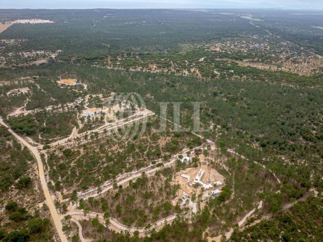 Terreno venda em Muda, Grândola