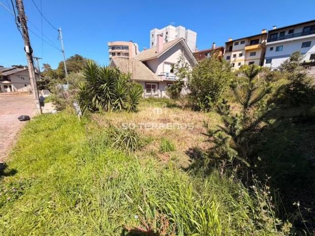 Terreno venda em Região Geográfica Imediata de Caxias do Sul, Caxias do Sul