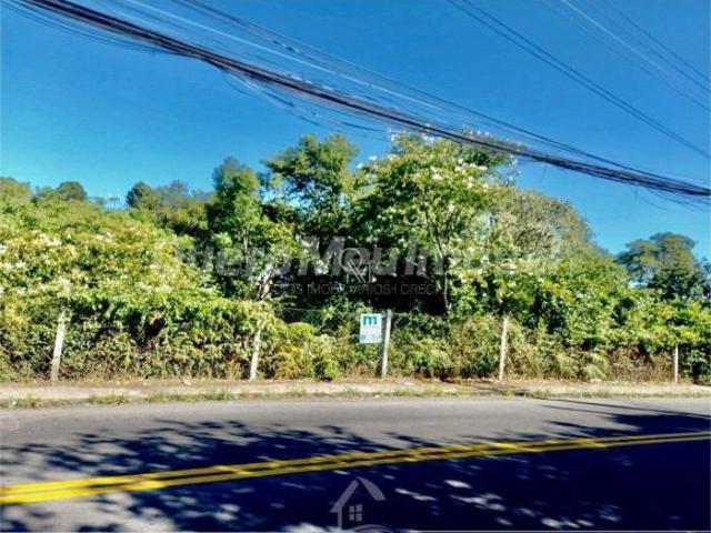 Terreno venda em Região Geográfica Imediata de Caxias do Sul, Caxias do Sul