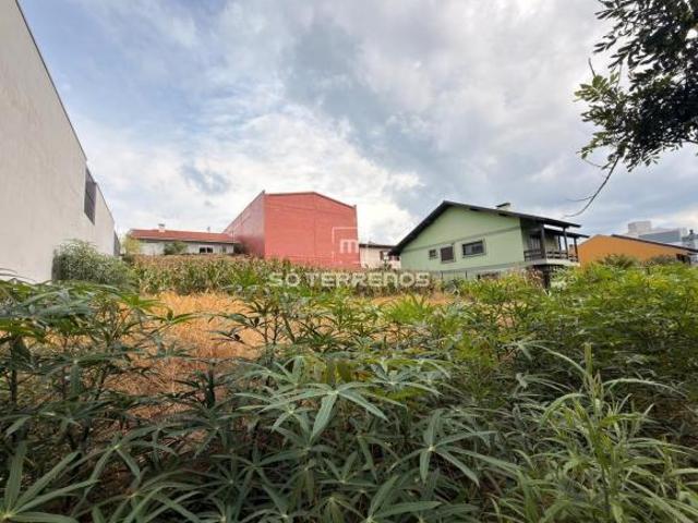 Terreno venda em Região Geográfica Imediata de Caxias do Sul, Caxias do Sul