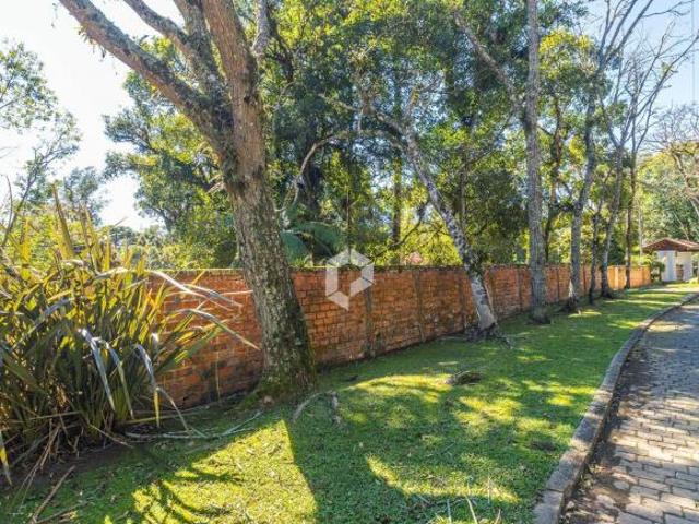 Terreno venda em Região Geográfica Imediata de Curitiba, Região Metropolitana de Curitiba
