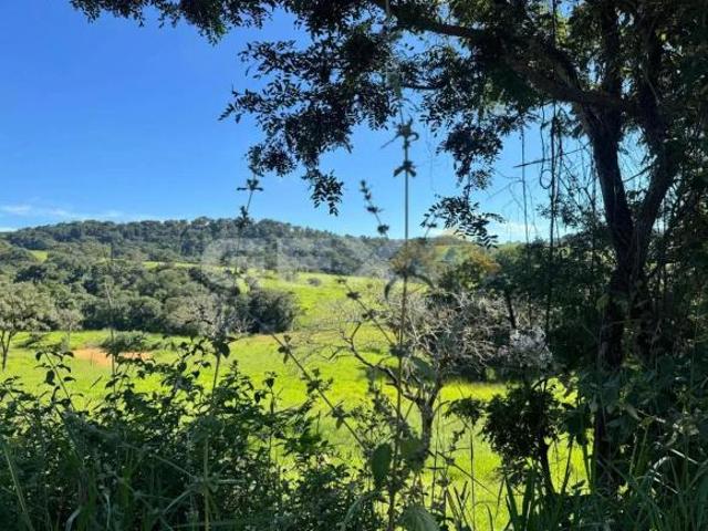 Terreno venda em Região Geográfica Imediata de Divinópolis, Nova Serrana