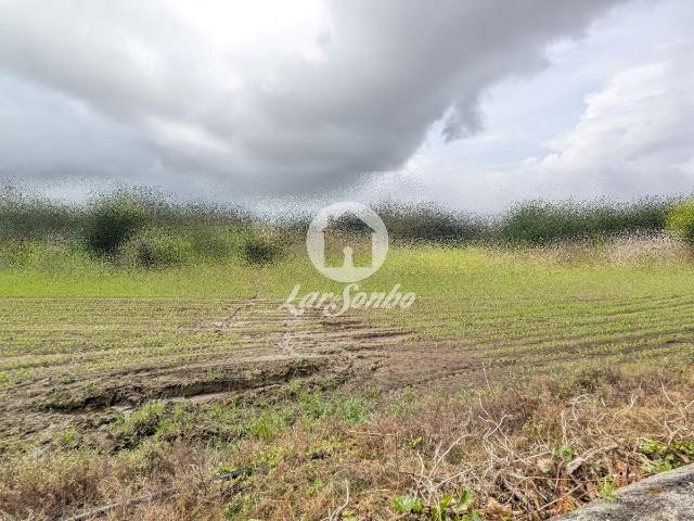 Terreno venda em Junqueira, Vila Do Conde