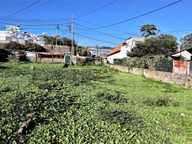 Terreno venda em Funchal, Ilha Da Madeira