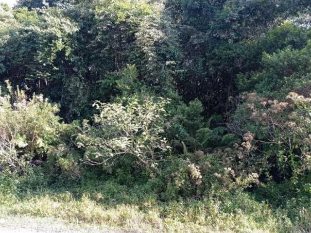Terreno venda em Região Imediata de Santos, Região Metropolitana da Baixada Santista