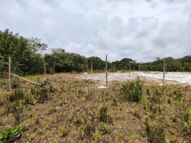 Terreno venda em Região Imediata de Santos, Região Metropolitana da Baixada Santista
