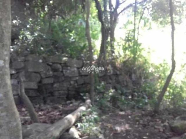 Terreno venda em Região Geográfica Imediata de Caxias do Sul, Caxias do Sul