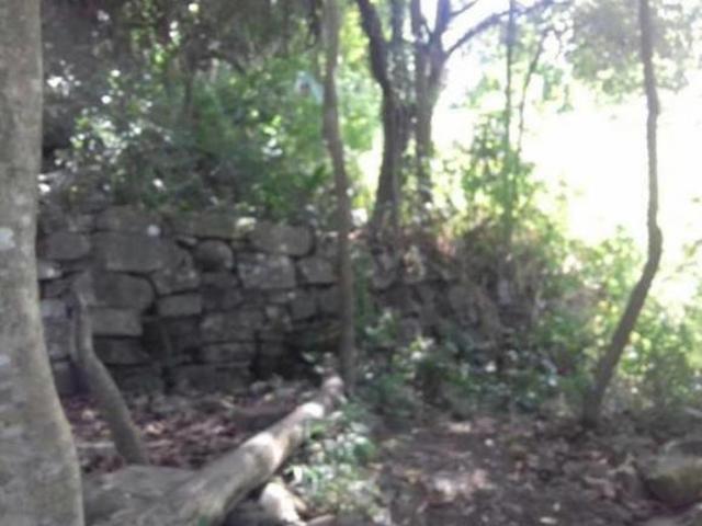 Terreno venda em Região Geográfica Imediata de Caxias do Sul, Caxias do Sul