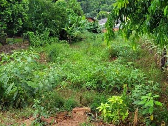 Terreno venda em Região Geográfica Imediata de Novo Hamburgo - São Leopoldo, Região Metropolitana de Porto Alegre