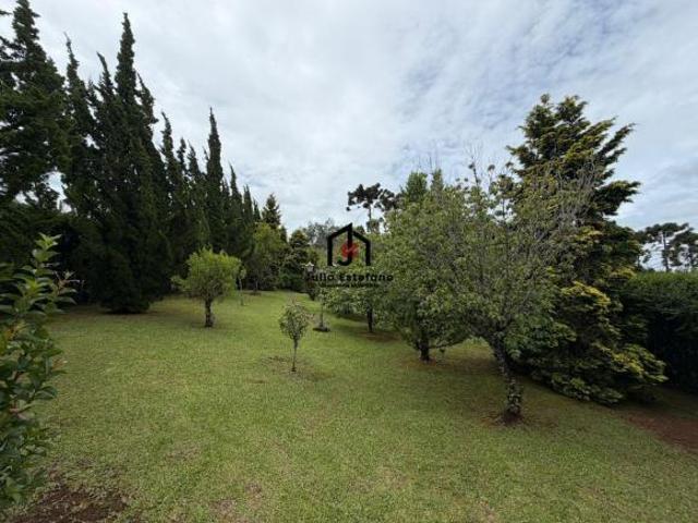Terreno venda em Região Imediata de Taubaté-Pindamonhangaba, Região Metropolitana do Vale do Paraíba e Litoral Norte