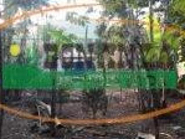 Terreno venda em Região Geográfica Imediata de Conselheiro Lafaiete, Santana dos Montes