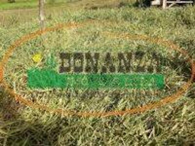 Terreno venda em Região Geográfica Imediata de Conselheiro Lafaiete, Rio Espera