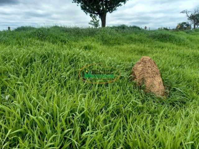 Terreno venda em Região Geográfica Imediata de Oliveira, Passa Tempo