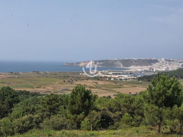Terreno venda em Pederneira, Famalicão