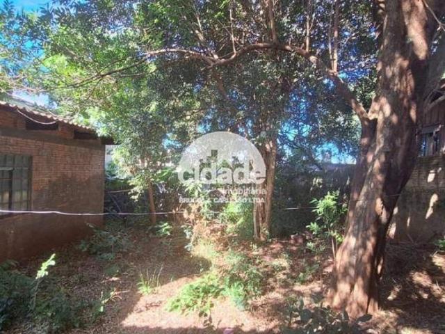 Terreno venda em Região Geográfica Imediata de Cascavel, Cascavel
