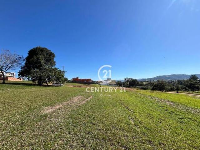 Terreno venda em Pardinho
