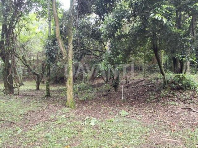 Terreno venda em Abadia, Louveira
