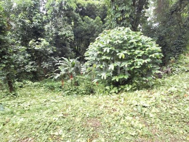 Terreno venda em Região Imediata de Jundiaí, Louveira