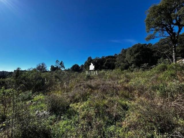 Terreno venda em Região Geográfica Imediata de Caxias do Sul, Caxias do Sul