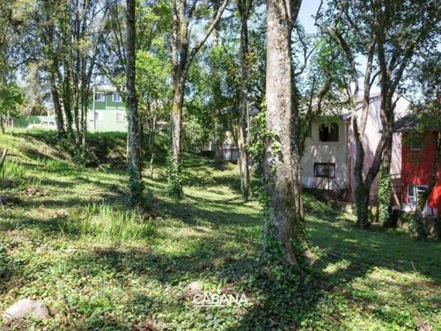 Terreno venda em Região Geográfica Imediata de Caxias do Sul, Caxias do Sul