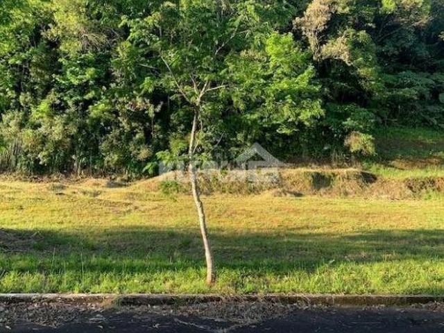 Terreno venda em Barão