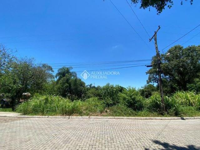 Terreno venda em Lajeado