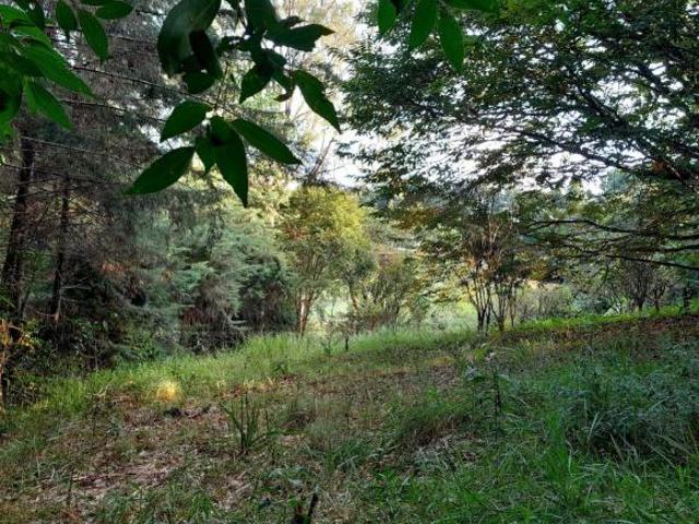 Terreno venda em Região Geográfica Imediata de Pouso Alegre, Extrema