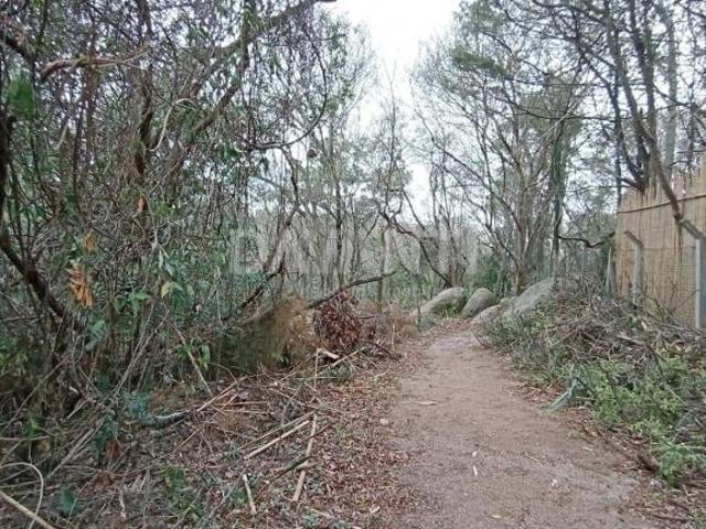 Terreno venda em Região Imediata de Campinas, Região Metropolitana de Campinas