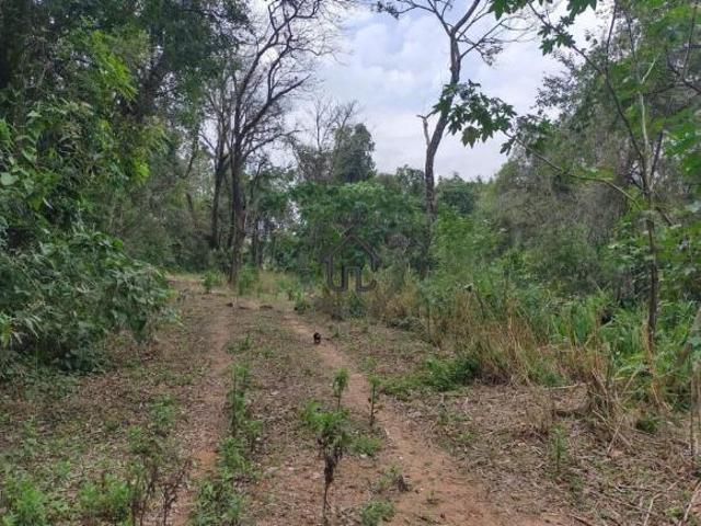 Terreno venda em Região Imediata de Amparo, Serra Negra