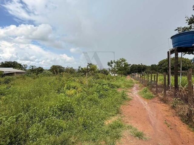 Terreno venda em Região Geográfica Imediata de Ceres - Rialma - Goianésia, Vila Propício