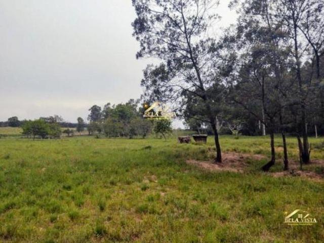 Terreno venda em Região Geográfica Imediata de Novo Hamburgo - São Leopoldo, Região Metropolitana de Porto Alegre