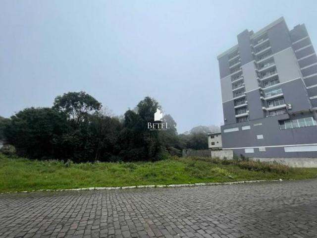 Terreno venda em Região Geográfica Imediata de Caxias do Sul, Farroupilha