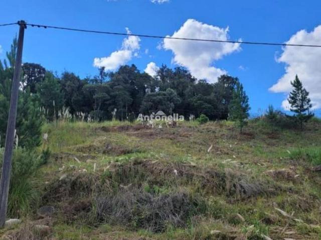 Terreno venda em Região Geográfica Imediata de Caxias do Sul, Caxias do Sul