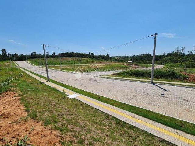 Terreno venda em Região Geográfica Imediata de Novo Hamburgo - São Leopoldo, Região Metropolitana de Porto Alegre