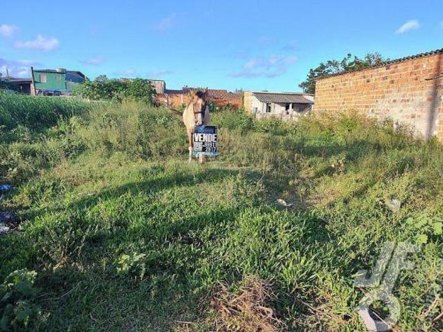 Terreno venda em Região Geográfica Imediata de Pelotas, Aglomeração Urbana do Sul