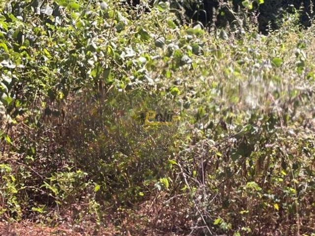 Terreno venda em Região Geográfica Imediata de Barra do Garças, Barra do Garças