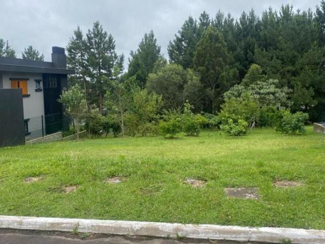 Terreno venda em Gramado