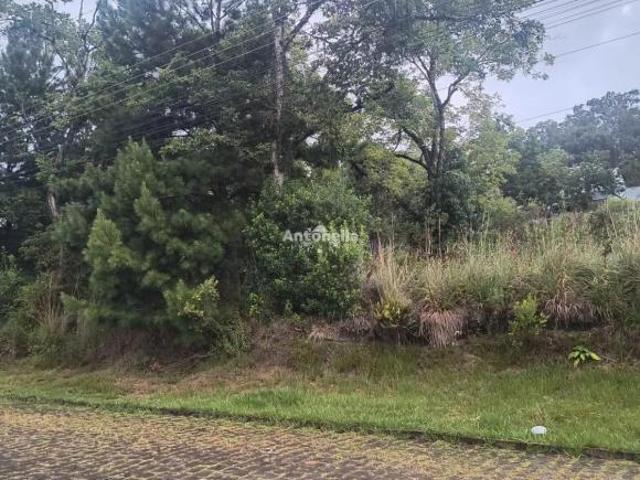 Terreno venda em Região Geográfica Imediata de Caxias do Sul, Caxias do Sul