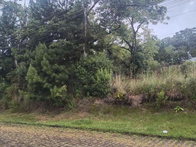 Terreno venda em Região Geográfica Imediata de Caxias do Sul, Caxias do Sul