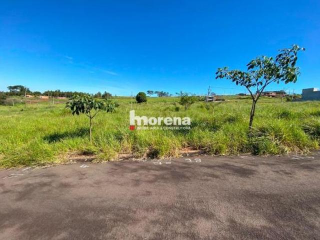 Terreno venda em Região Geográfica Imediata de Umuarama, Região Metropolitana de Umuarama